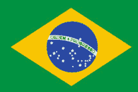 receive sms online for Brazil